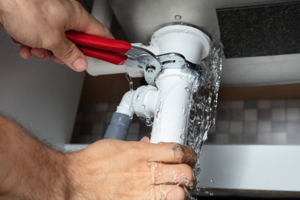 Best Carpet water damage restoration  in Dunkirk, MD