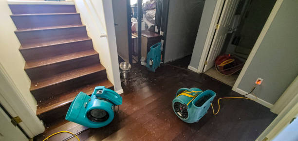 Best Commercial water damage restoration  in Dunkirk, MD