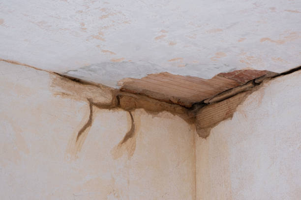 Best Mold removal after water damage  in Dunkirk, MD