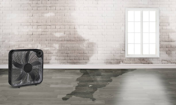  Dunkirk, MD Water damage restoration Pros