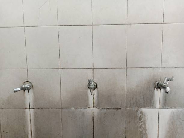 Best Flood restoration services  in Dunkirk, MD