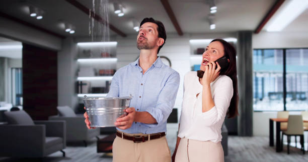 Best Flood damage cleanup  in Dunkirk, MD