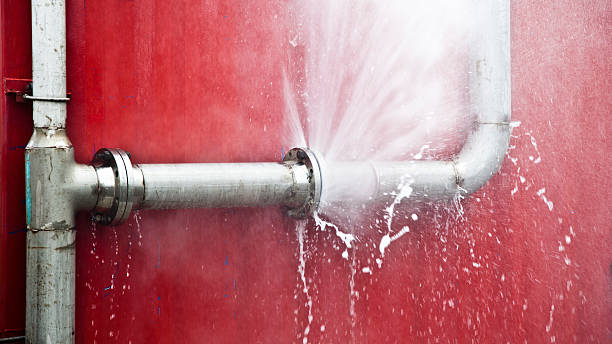 Best Water damage restoration near me  in Dunkirk, MD